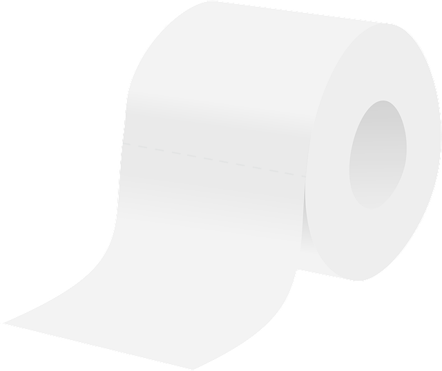 comfort height toilet