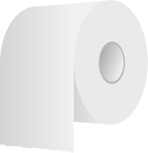 comfort height toilet