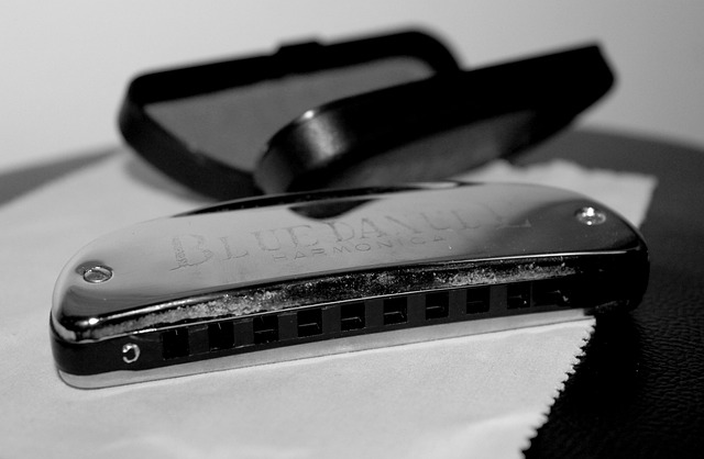 custody legal services