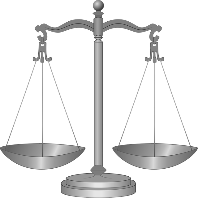 custody legal services