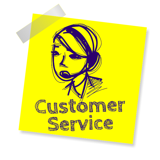 custody legal services