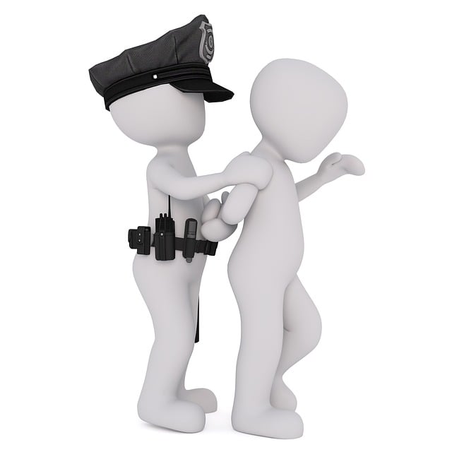 custody legal services