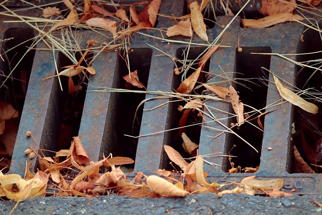 drain-augering-640x480-9757410.jpeg