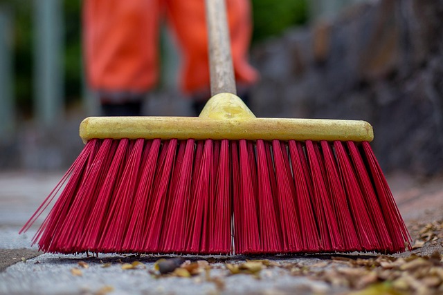 drain cleaning estimate