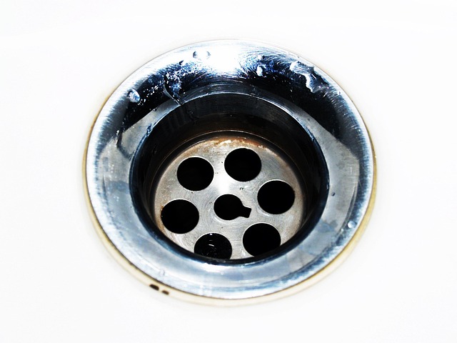 drain rooter