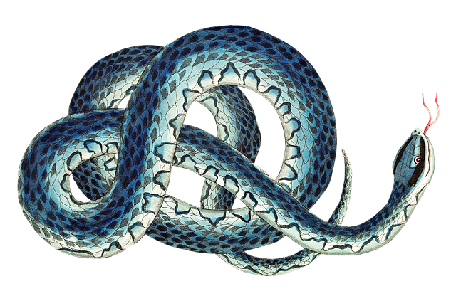 drain-snaking-640x480-92440853.png