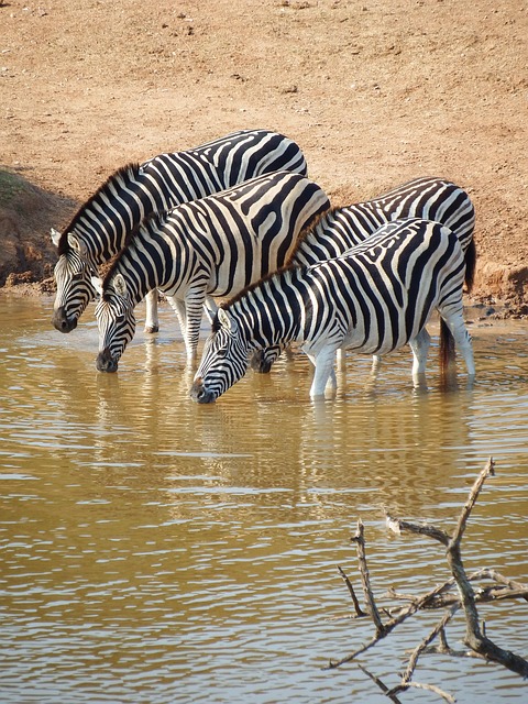 drinking water system