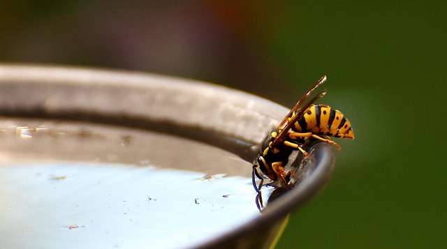 drinking-water-system-640x480-72048533.jpeg
