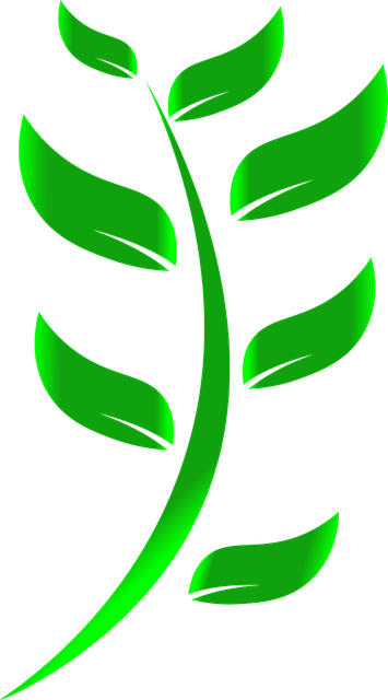 eco-friendly-drain-cleaning-640x480-81210240.png
