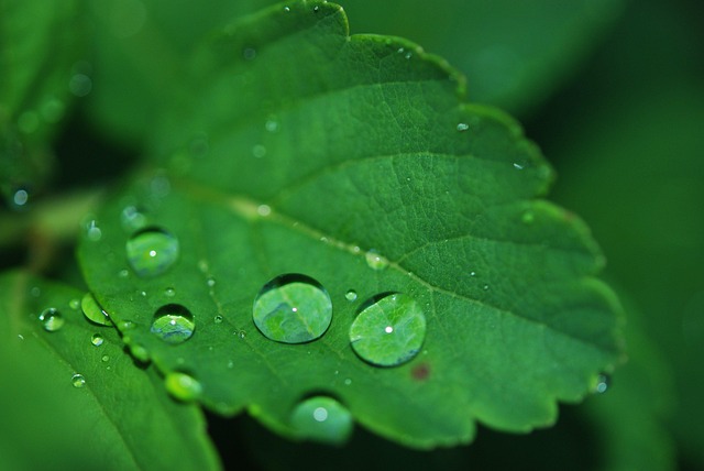 eco-friendly-plumbing-640x480-38768598.jpeg