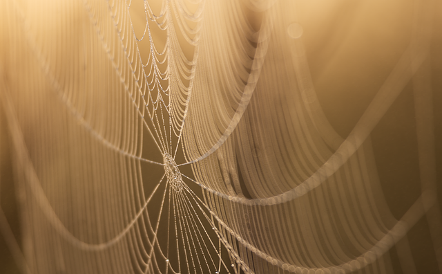 electrical contractor web design