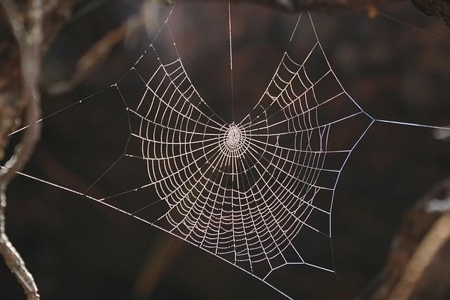 electrician web design