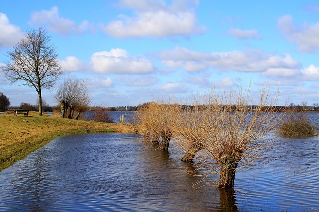 flood-cleanup-plumbing-640x480-51078266.jpeg