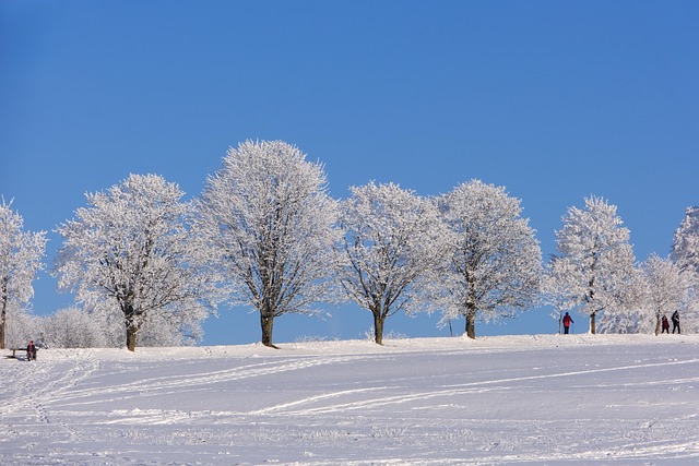 frozen-pipe-thawing-640x480-29337352.jpeg