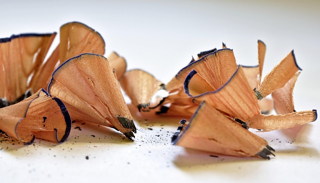 garbage disposal grinding
