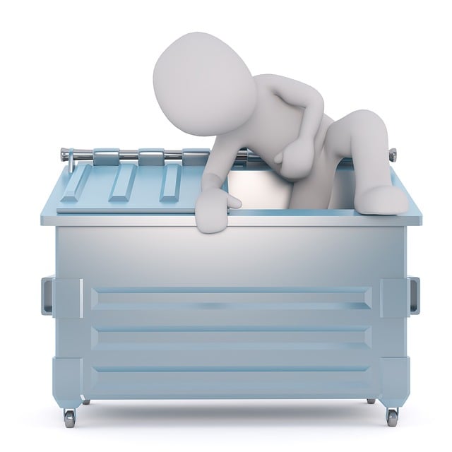 garbage disposal reset