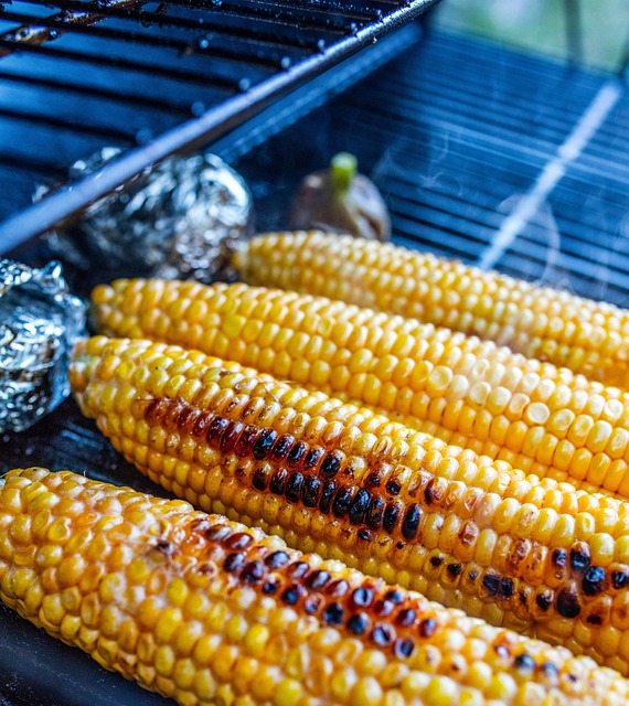 gas grill connection