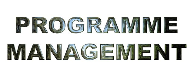 google ads management