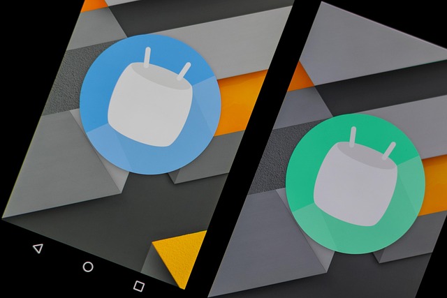 google ads services