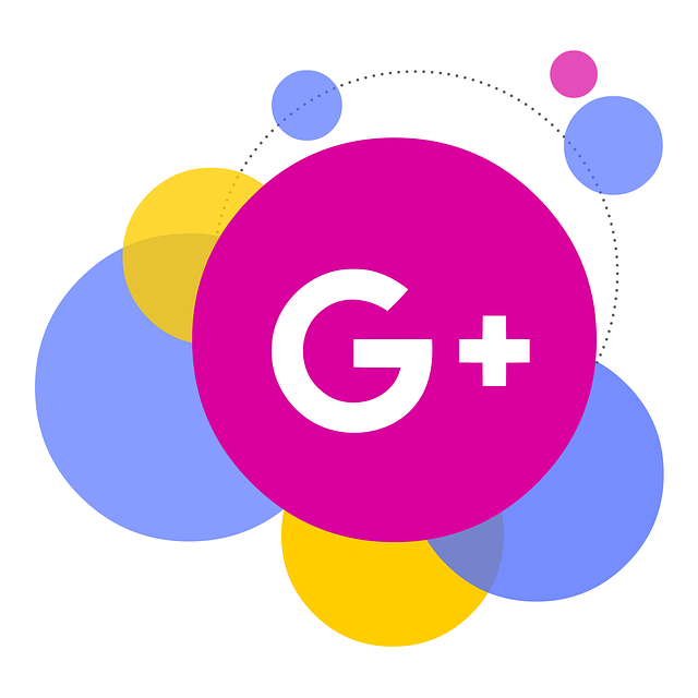 google business profile optimization