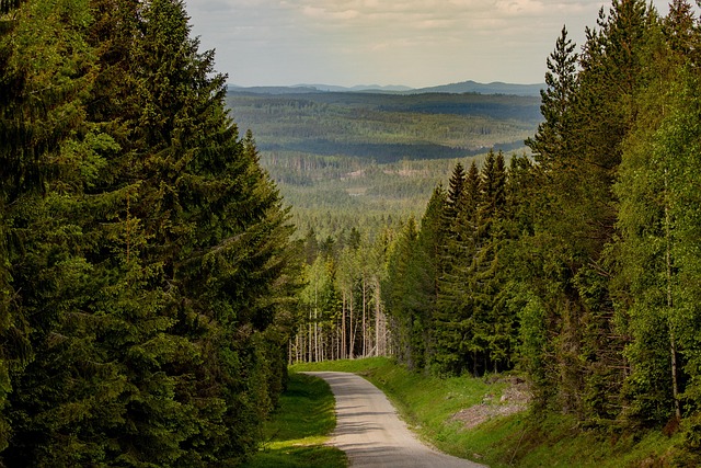 gravel driveway contractors