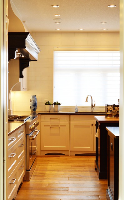 kitchen faucet repair