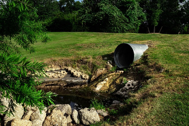knoxville sewer repair