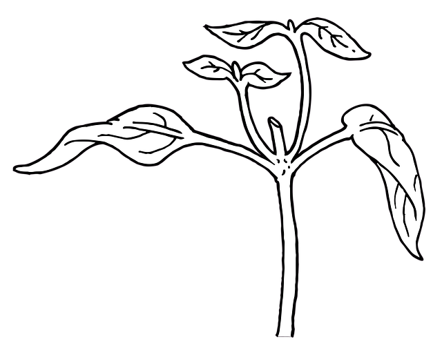 lateral-sewer-line-640x480-23592966.png