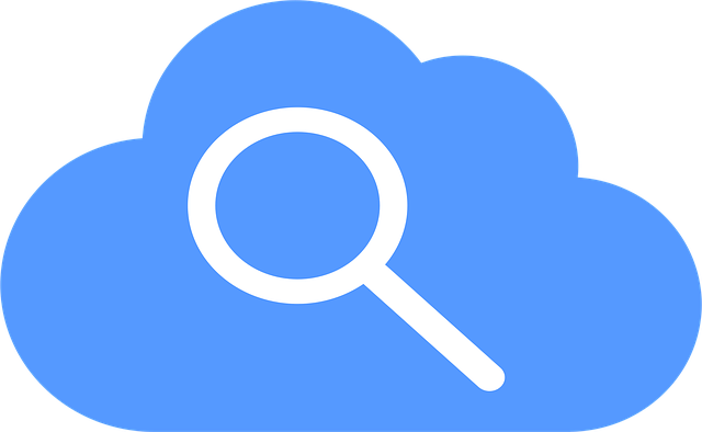 paid search services