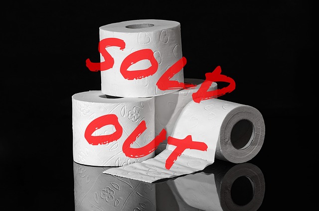 pittsburgh toilet repair