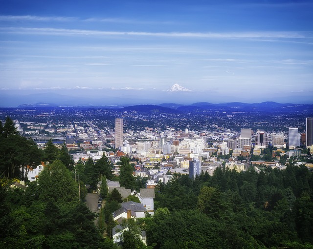 portland plumbing