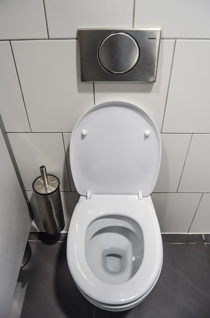 professional toilet service