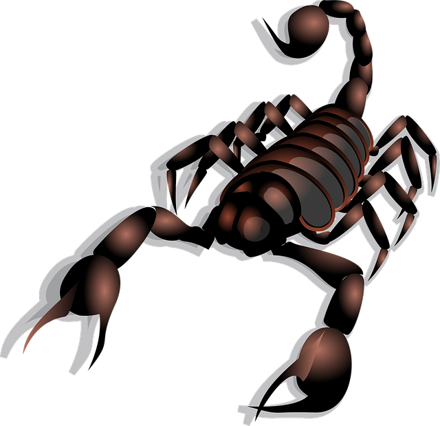pull-out-faucet-640x480-69032998.png