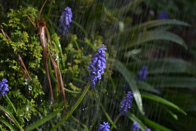 rain shower installation