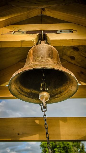 search campaign management