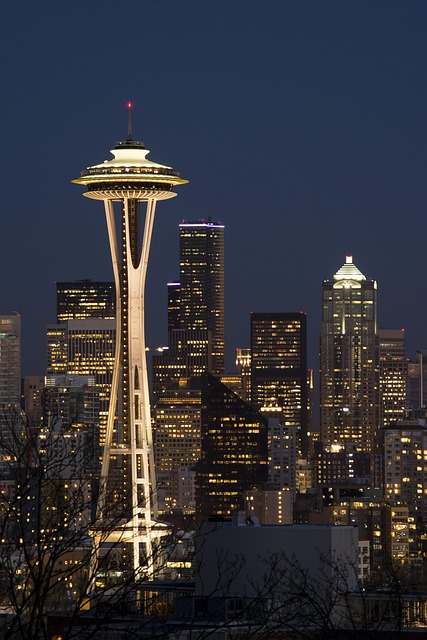 seattle drain cleaning