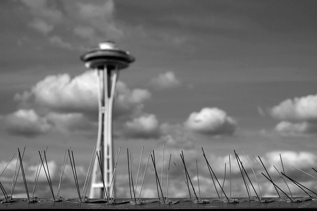 seattle drain cleaning