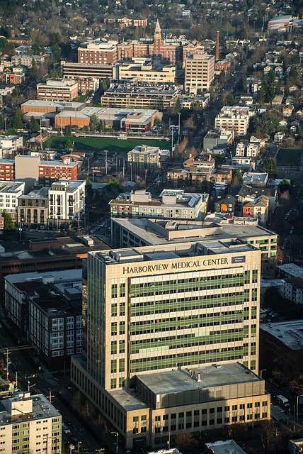 seattle emergency plumber