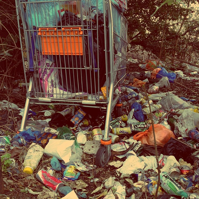 seattle garbage disposal