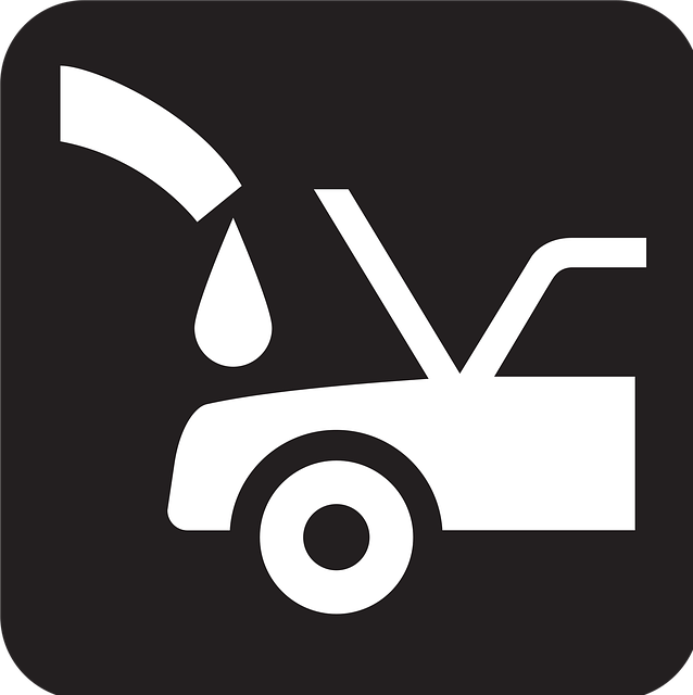 sem services