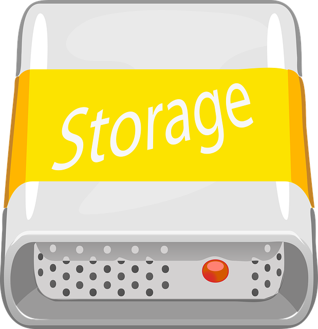 sewer backup