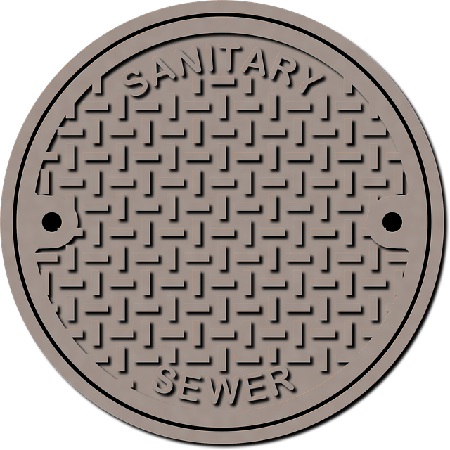 sewer repair near me