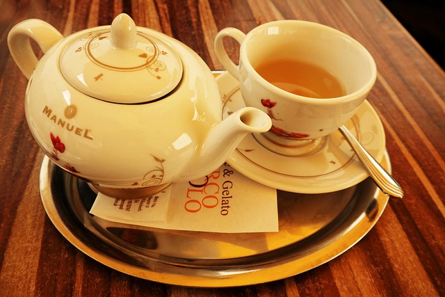 sewer rooter service