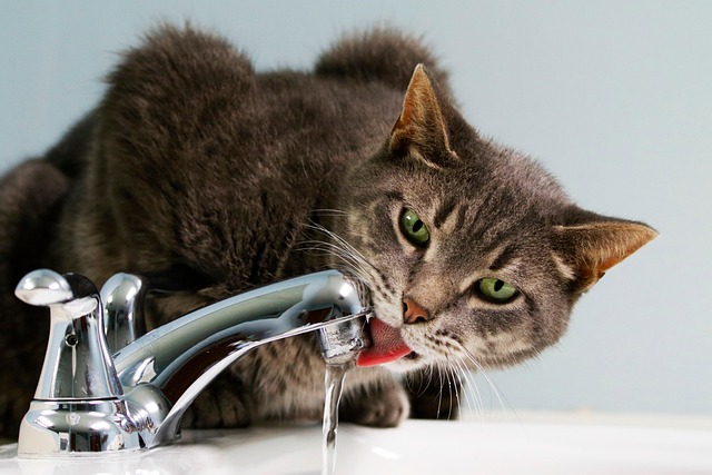 sewer tap