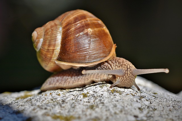 slow drain