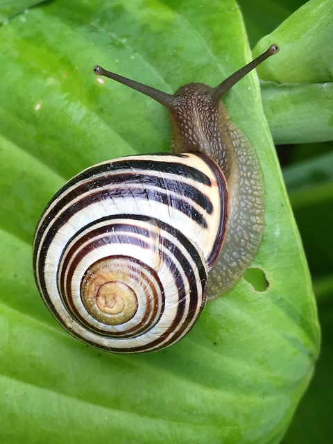 slow drain