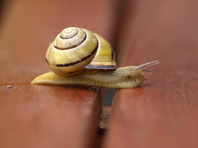 slow drain