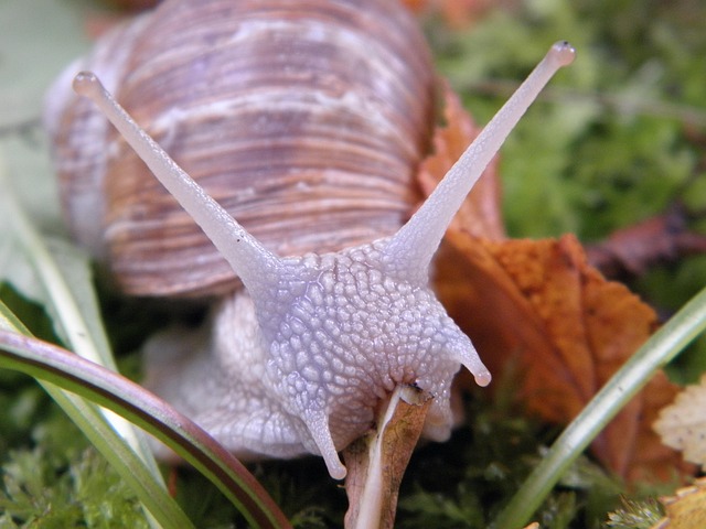 slow-drain-640x480-97179870.jpeg