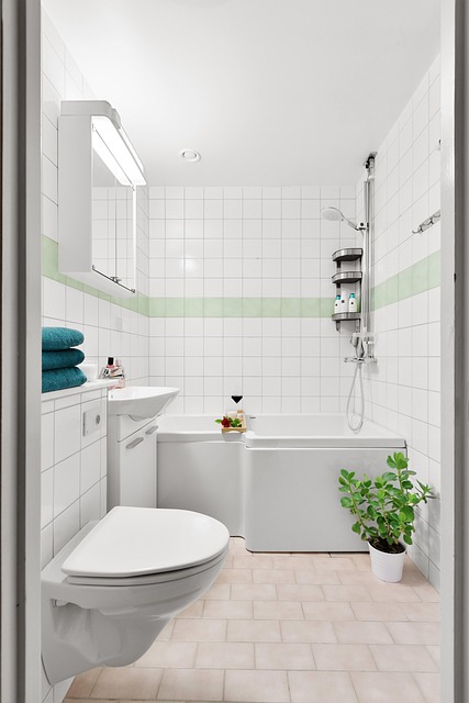 smart toilet installation