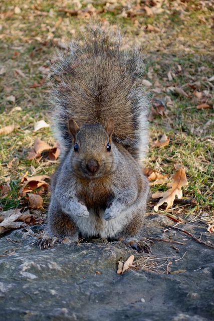 squirrel-hill-plumbing-640x480-22111721.jpeg